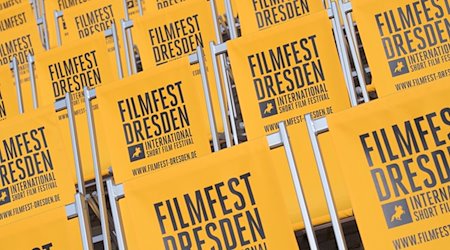 Sillas plegables con la inscripción "Filmfest Dresden" en Neumarkt / Foto: Sebastian Kahnert/dpa-Zentralbild/dpa