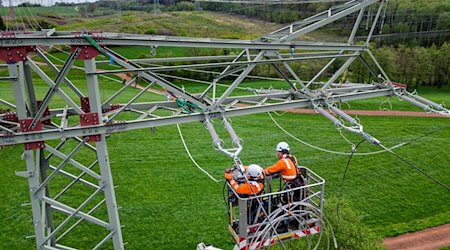 Monteure erneuern eine 110 KV Hochspannungsleitung des Stromnetzbetreibers Mitnetz. / Foto: Jan Woitas/dpa