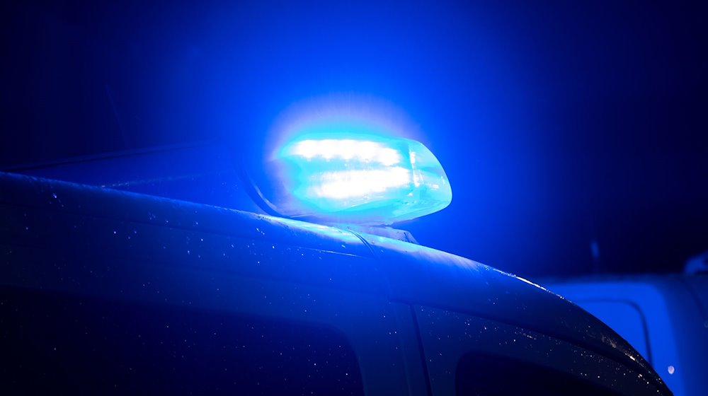 Blaulicht leuchtet auf dem Dach eines Polizeiwagens. / Foto: Sarah Knorr/dpa