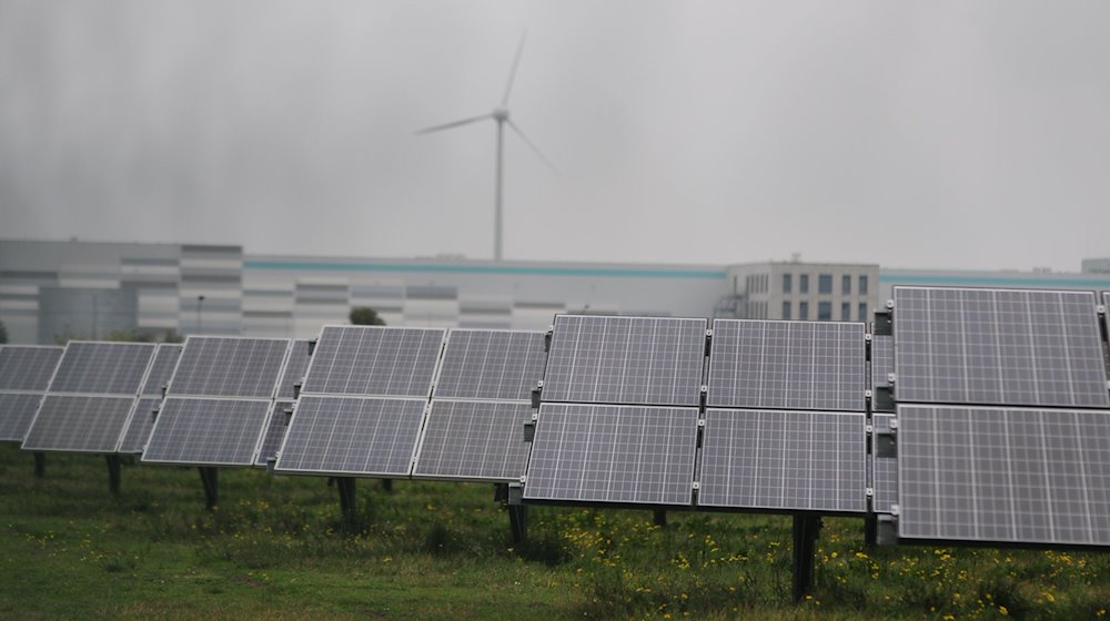 Photovoltaic modules are located in an industrial park in Bitterfeld-Wolfen. Commercial buildings can be seen in the background. Meyer Burger's site in Thalheim is heavily dependent on federal aid / Photo: Simon Kremer/dpa