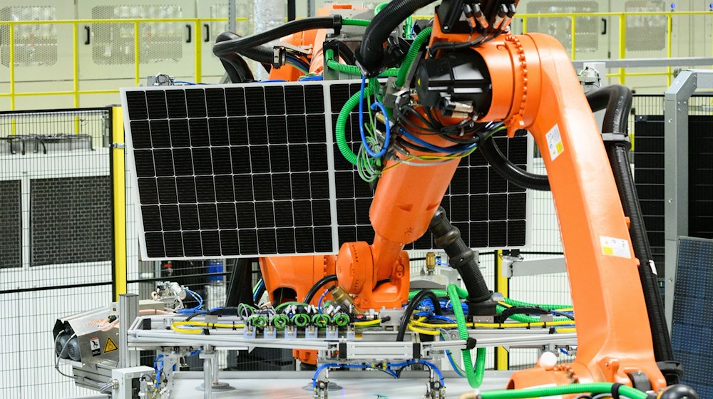 A solar module is transported to the next step in the production line at the Solarwatt GmbH plant by a robot / Photo: Robert Michael/dpa