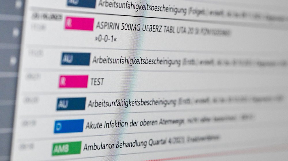 Auf einem Bildschirm in der E-Health-Showpraxis der Kassenärztlichen Vereinigung Berlin ist eine elektronische Patientenakte ePA dargestellt. / Foto: Jens Kalaene/dpa/Archivbild