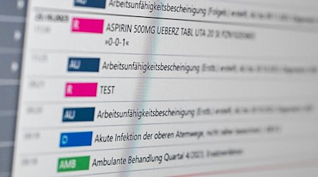 An electronic patient file (ePA) is displayed on a screen in the e-health show practice of the Berlin Association of Statutory Health Insurance Physicians. / Photo: Jens Kalaene/dpa/Archive image