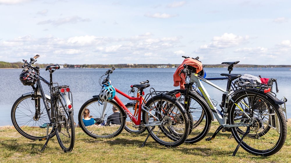 Fahrräder stehen am Ufer des Senftenberger Sees. Bei frühsommerlichen Temperaturen sitzen die Radbesitzer am Ufer des Sees. / Foto: Frank Hammerschmidt/dpa