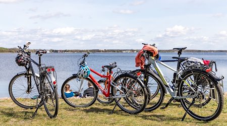 Fahrräder stehen am Ufer des Senftenberger Sees. Bei frühsommerlichen Temperaturen sitzen die Radbesitzer am Ufer des Sees. / Foto: Frank Hammerschmidt/dpa