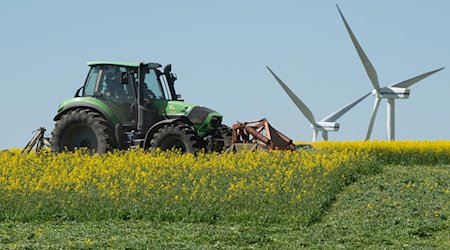 مزارع يقود جرارًا بجوار محطة لتوليد الطاقة من الرياح عبر حقل للجنينة. / صورة: سيباستيان كاهنرت / دبا-صحافة دبا