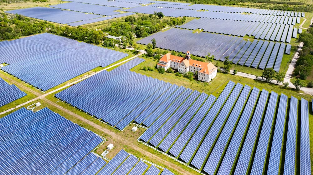 Vista de los módulos solares del parque solar de Zeithain / Foto: Robert Michael/dpa