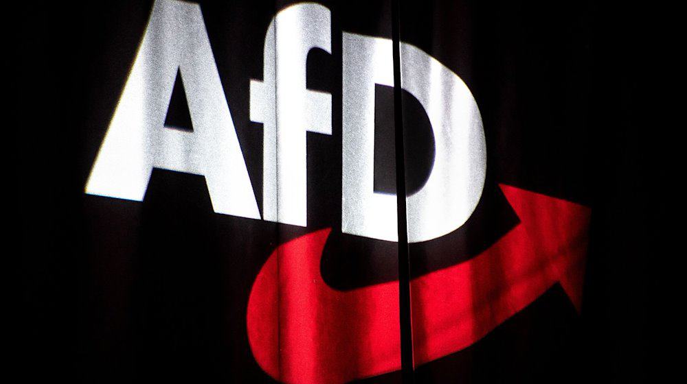 The AfD logo is projected onto a curtain at the federal party conference / Photo: Sina Schuldt/dpa