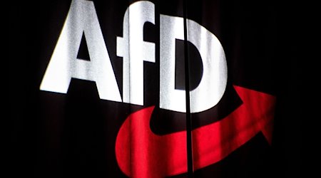 The AfD logo is projected onto a curtain at the federal party conference / Photo: Sina Schuldt/dpa