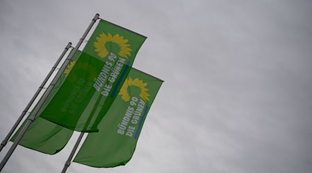 أعلام حزب الأخضر الألماني / الصورة: ماريجان مورات / دبا