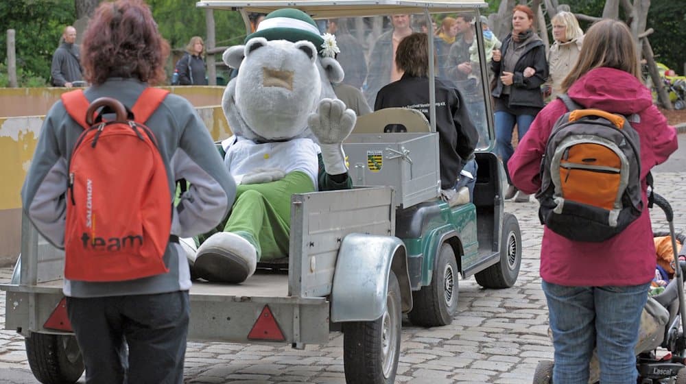 Hippopotamus Dixie, the mascot of the Dresden Dixieland Festival, travels by trailer to the traditional family festival at Dresden Zoo on Sunday (15.05.2011). / Photo: Matthias Hiekel/dpa/Archivbild