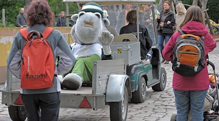 Hippopotamus Dixie, the mascot of the Dresden Dixieland Festival, travels by trailer to the traditional family festival at Dresden Zoo on Sunday (15.05.2011). / Photo: Matthias Hiekel/dpa/Archivbild