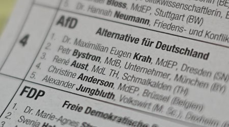 The names of the two leading AfD candidates for the European elections, Maximilian Krah and Petr Bystron, can be read on a ballot paper in the postal voting office of the city of Mainz. / Photo: Arne Dedert/dpa