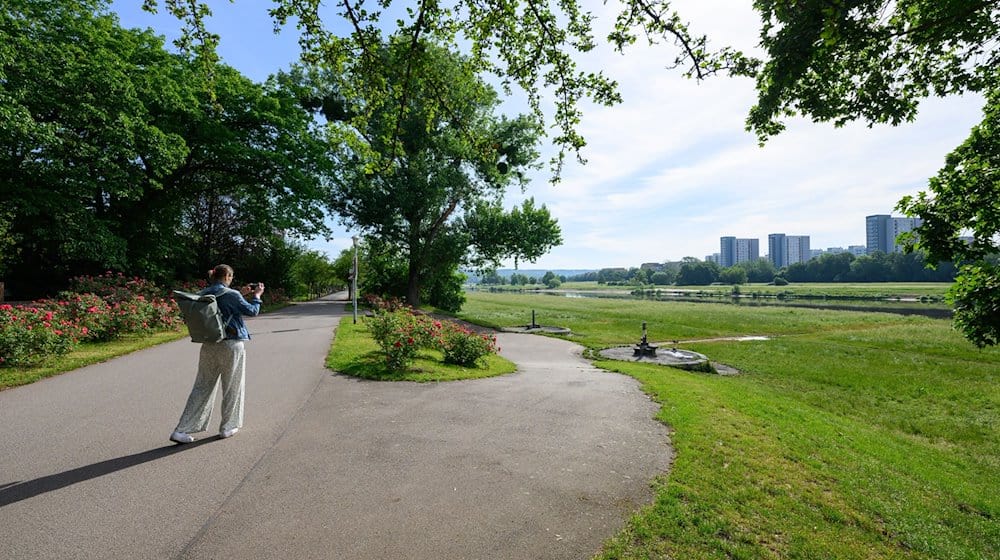 View of the Elbe meadows at the Rosengarten. Ten people were injured, some of them seriously, in a lightning strike in this area on May 20, 2024. / Photo: Robert Michael/dpa