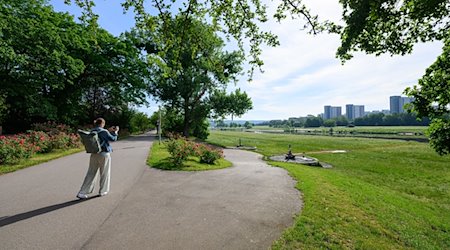 View of the Elbe meadows at the Rosengarten. Ten people were injured, some of them seriously, in a lightning strike in this area on May 20, 2024. / Photo: Robert Michael/dpa