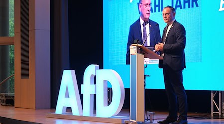 Tino Chrupalla, presidente federal de la AfD / Foto: Sebastian Willnow/dpa
