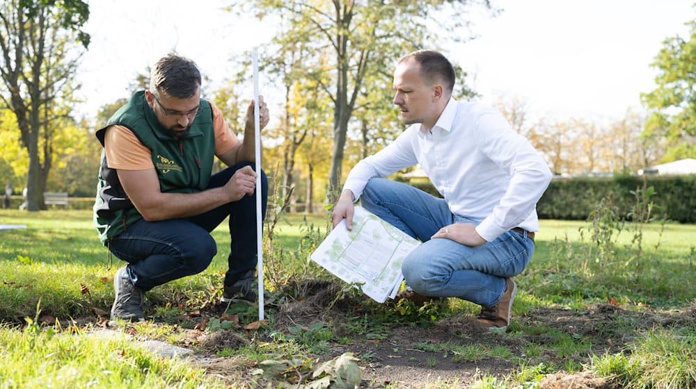 Міхаель Метнер (ліворуч), керівник саду, та Клаудіус Векке, завідувач садів, сидять у парку "Великий сад" на відкритому просторі майбутнього розсадника дерев / Фото: Sebastian Kahnert/dpa