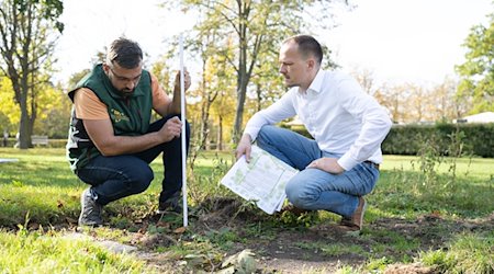 Michael Methner (l), garden foreman, and Claudius Wecke, head of the gardens department, sit in the Großer Garten park on the open space of the future tree nursery / Photo: Sebastian Kahnert/dpa