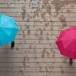 Passanten gehen unter Regenschirmen spazieren. / Foto: Sebastian Kahnert/dpa/Symbolbild