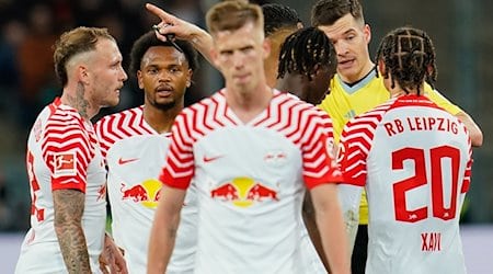 Referee Harm Osmers gestures / Photo: Uwe Anspach/dpa