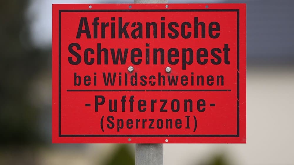 Ein Schild Afrikanische Schweinepest bei Wildschweinen - Pufferzone (Sperrzone 1) ist an einem Ortseingangsschild im Landkreis Bautzen montiert. / Foto: Robert Michael/dpa