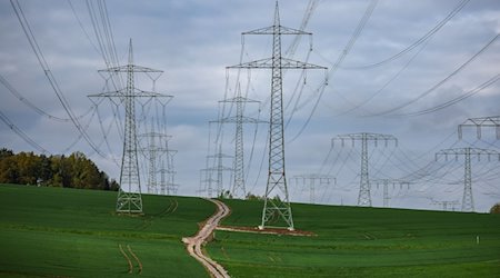 Varias líneas de alta tensión de 110 KV atraviesan el paisaje sajón / Foto: Jan Woitas/dpa/Imagen simbólica