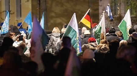 Teilnehmer einer Kundgebung der rechtsextremen Kleinstpartei Freie Sachsen gehen mit verschiedenen Fahnen eine Straße entlang. / Foto: Sebastian Kahnert/dpa
