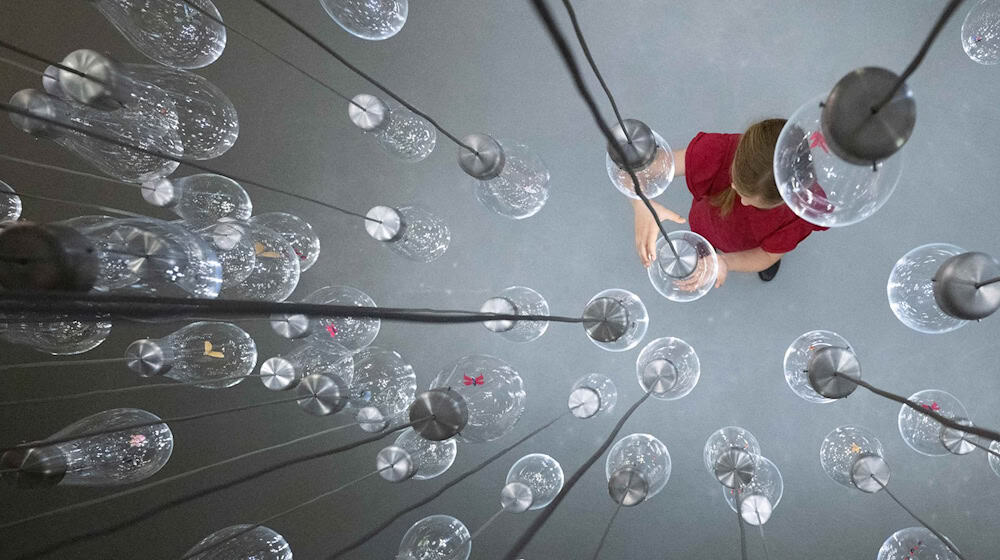 Ein Kind steht während eines Presserundgangs in der Kinderbiennale im Japanischen Palais in einem vom mischer‘traxler studio gestalteten Insektenreich. / Foto: Sebastian Kahnert/dpa