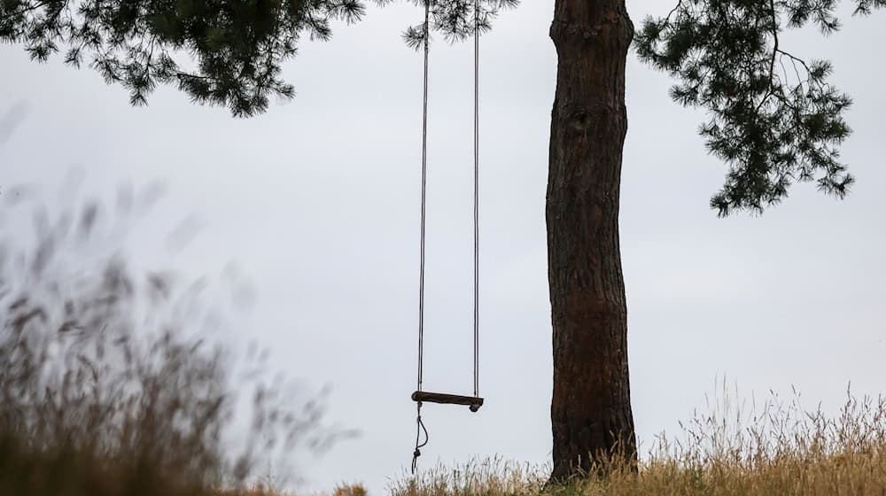 Eine leere Schaukel hängt an einem Baum. / Foto: Jan Woitas/dpa/Symbolbild