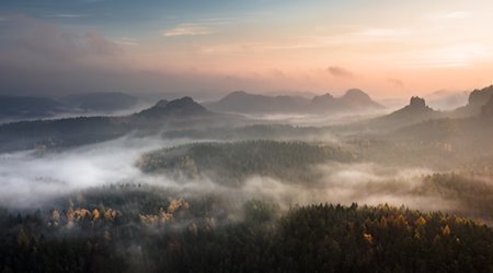 Berglandschaft in der Sächsischen Schweiz / Bild von Artem Sapegin auf Unsplash