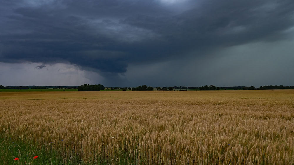 Eine dunkle Gewitterwolke zieht über die Landschaft im Landkreis Oder-Spree in Ostbrandenburg. / Foto: Patrick Pleul/dpa