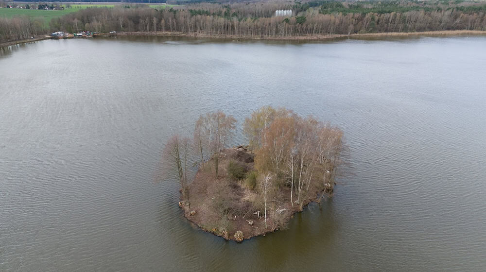 Bäume wachsen auf einer Insel im Großteich See (Aufnahme mit einer Drohne). / Foto: Sebastian Kahnert/dpa