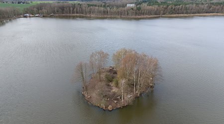Дерева, що ростуть на острові в озері Гросстайх (знімок з дрона). / Фото: Sebastian Kahnert/dpa
