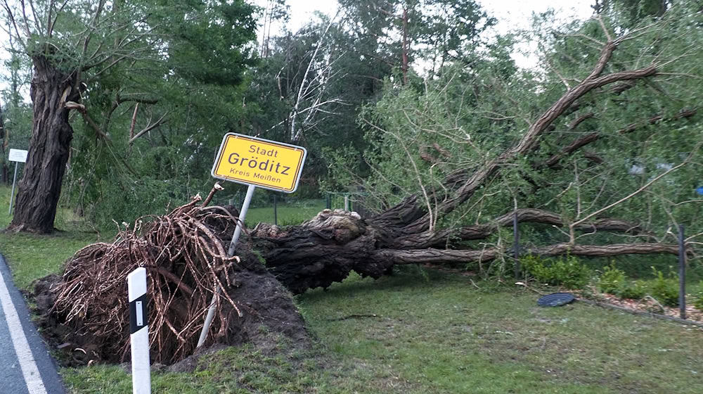 Ein umgefallener Baum liegt neben dem Ortsschildd von Gröditz. / Foto: Bernd März/dpa