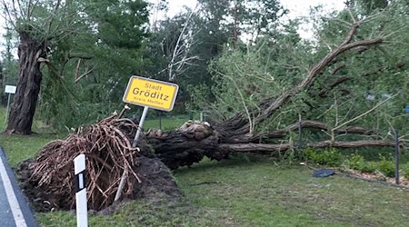 Ein umgefallener Baum liegt neben dem Ortsschildd von Gröditz. / Foto: Bernd März/dpa