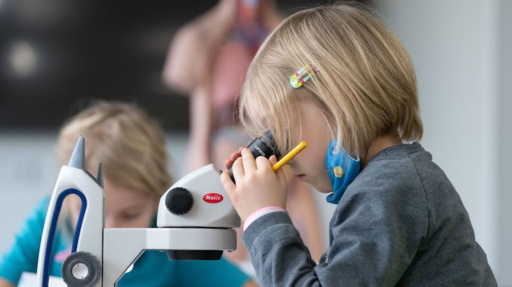 Primary school pupils at Dresden University School work during a project week / Photo: Sebastian Kahnert/dpa-Zentralbild/dpa