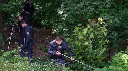 Polizisten sind mit Suchstangen auf der Erkundung nach einer vermissten Grundschülerin in einem Waldstück unterwegs. / Foto: Robert Michael/dpa