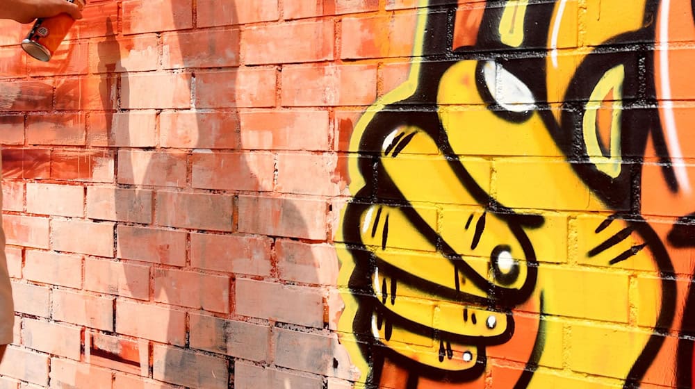 A sprayer sprays a wall / Photo: Jens Kalaene/dpa/Symbolic image