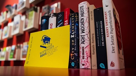 A selection of books nominated for the "Buxtehuder Bulle" youth literature prize stands on a table. For 53 years, the prize for the best youth book of the year has been awarded by a jury of young people and adults. / Photo: Sina Schuldt/dpa