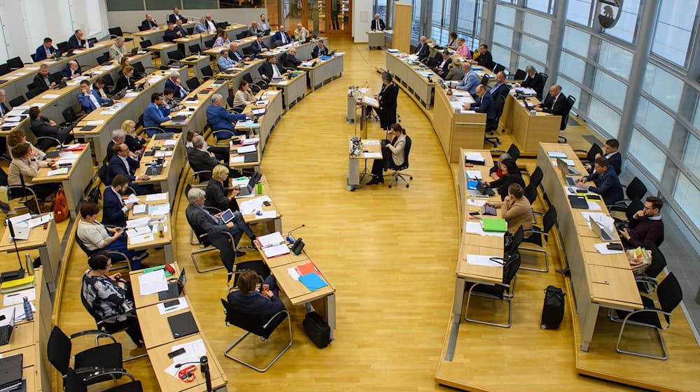 Der Plenarsaal vom Landtag von Sachsen-Anhalt. / Foto: Klaus-Dietmar Gabbert/dpa