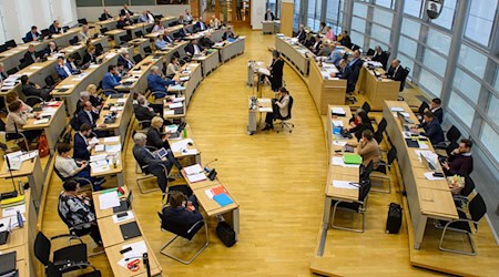 قاعة الجلسات العامة في برلمان ولاية ساكسونيا-أنهالت. / صورة: كلاوس-ديتمار جابيرت/وكالة الأنباء الألمانية
