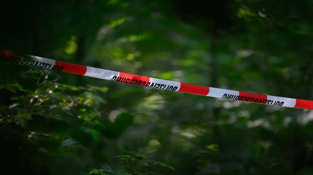 Absperrband der Polizei ist in einem Wald gespannt. In einem Waldstück bei Döbeln wurde die Leiche der vermissten neunjährigen Valeriia gefunden. / Foto: Robert Michael/dpa