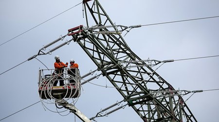 Fitters renew a 110 KV high-voltage line of the electricity grid operator Mitnetz / Photo: Jan Woitas/dpa
