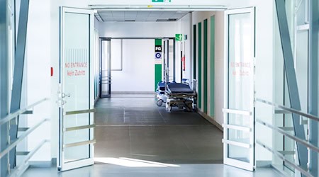 Camas de hospital en un pasillo de un hospital / Foto: Lukas Barth/dpa/Imagen simbólica