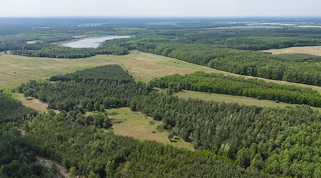 Rezervat biosfery Hornjołužiska heide- a hatjske krajobraz (Luftaufnahme mit einer Drohne). / Foto: Sebastian Kahnert/dpa