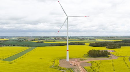 In mid-April, a wind turbine with an output of 5560 kilowatts went into operation in the district of Central Saxony. / Photo: Sebastian Kahnert/dpa