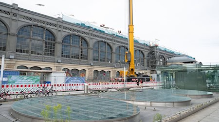The roof of Dresden's main railway station, which covers four soccer pitches, is being renovated / Photo: Sebastian Kahnert/dpa