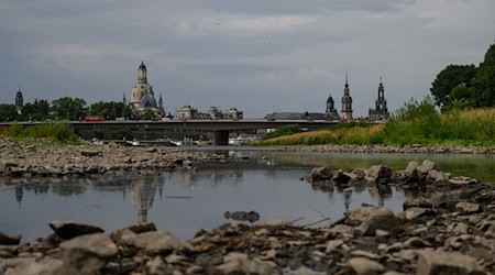 Dresden: Dresden will widerstandsfähiger gegen Hitze werden / Foto: Robert Michael/dpa