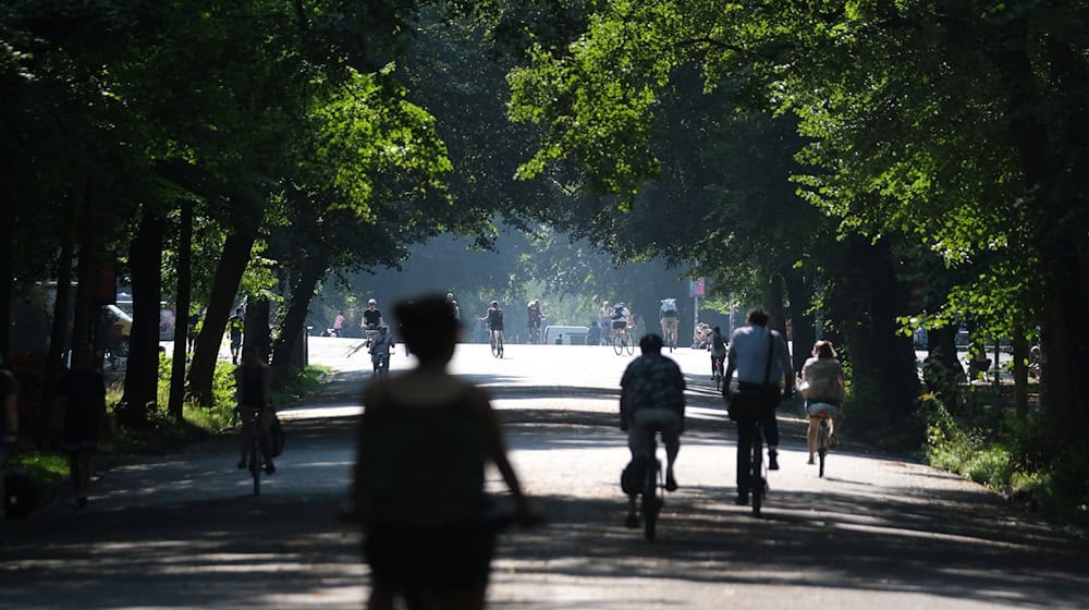 Leipzig landete im Hitze-Check im bundesweiten Vergleich auf Platz 85 (Archivbild) / Foto: Sebastian Willnow/dpa