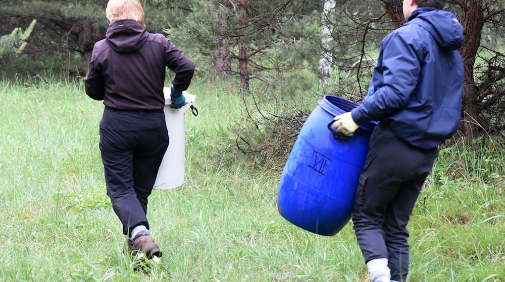 Die Sächsische Landesstiftung Natur und Umwelt bietet noch freie Plätze im Freiwilligen Ökologischen Jahr (FÖJ) in verschiedenen Einsatzstellen in Sachsen an (Archivbild). / Foto: Waltraud Grubitzsch/dpa